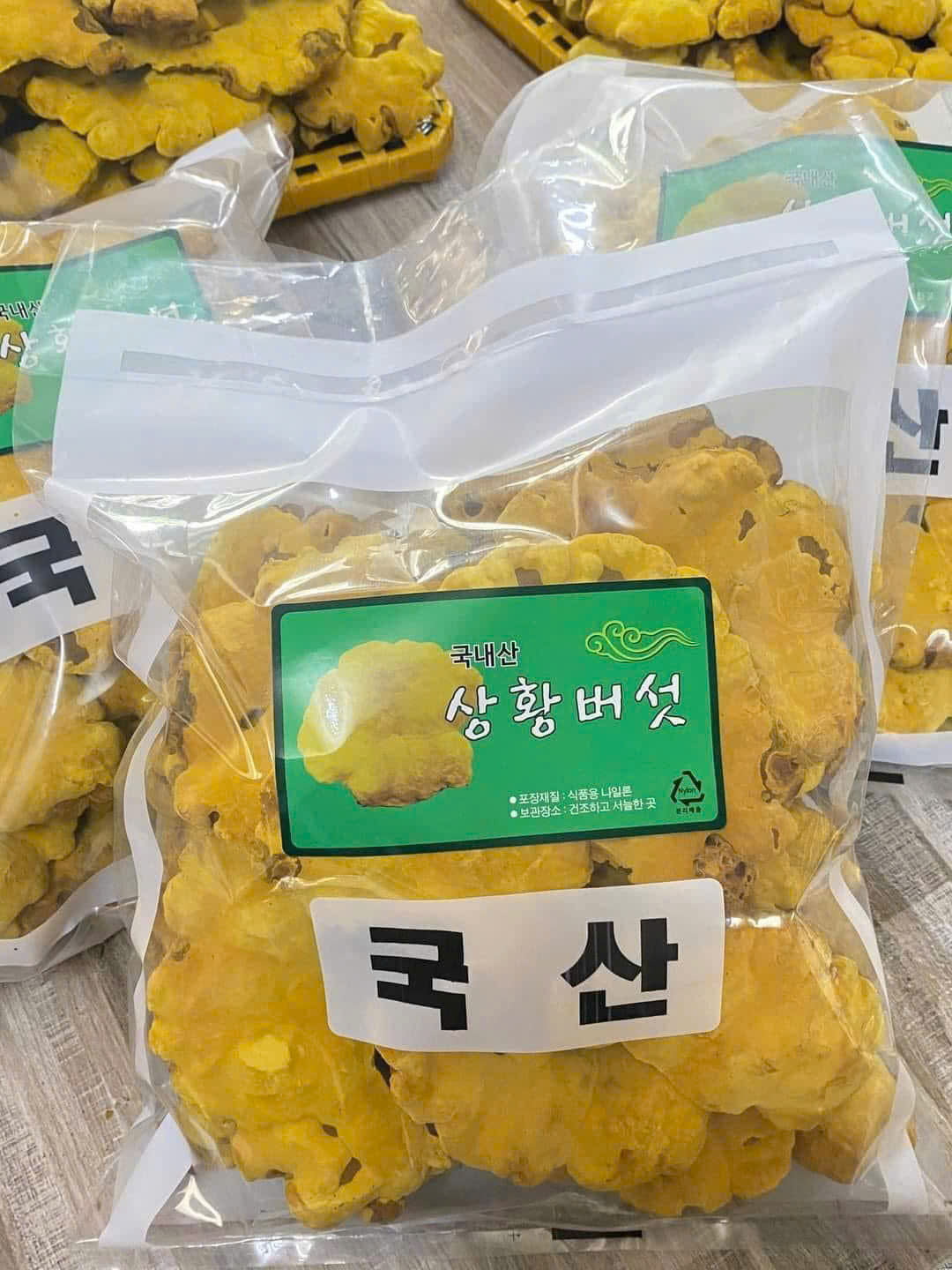 NẤM THƯỢNG HOÀNG