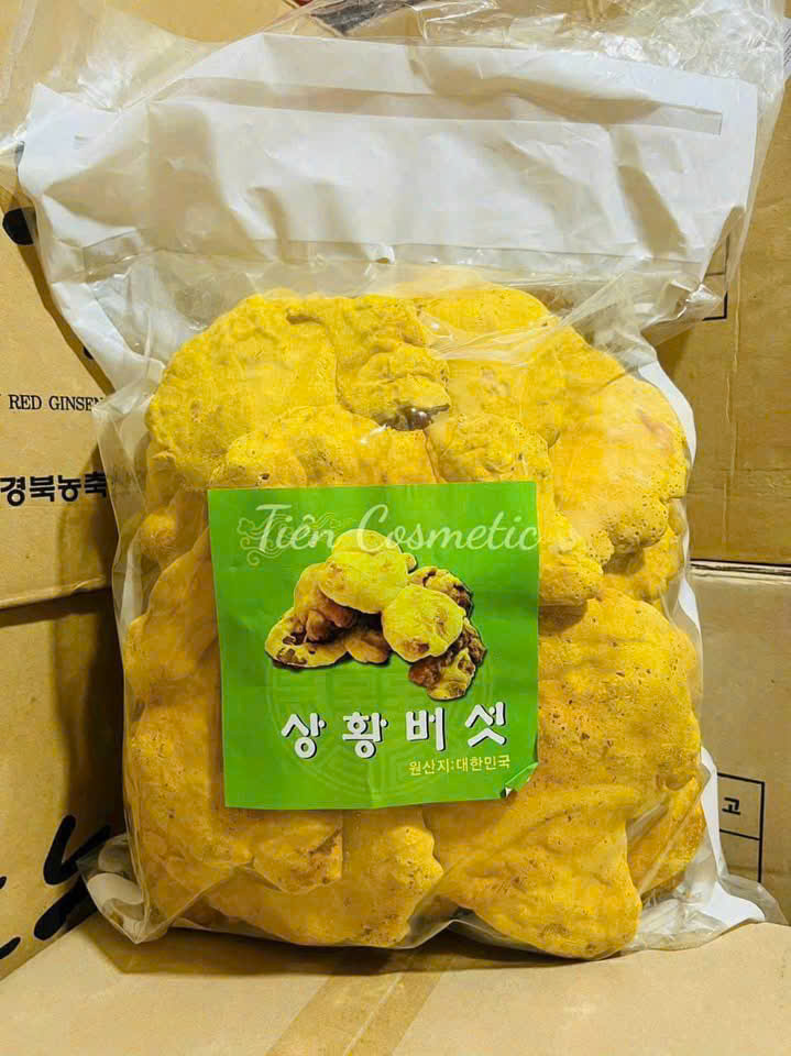 NẤM THƯỢNG HOÀNG
