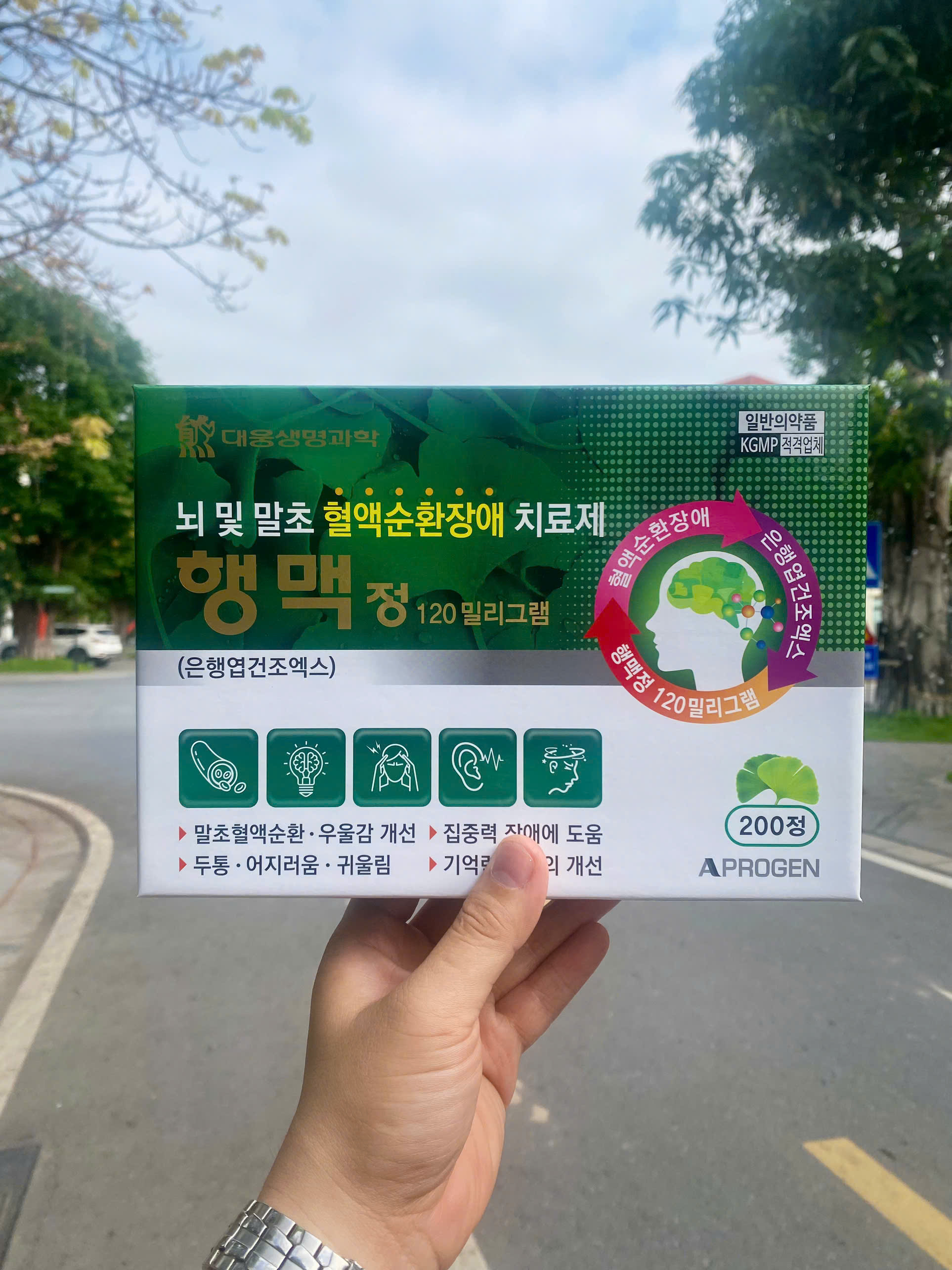 THUỐC BỔ NÃO 행맥